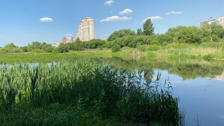 На очистку реки Миасс в Челябинске потратят почти вдвое больше, чем в прошлом году