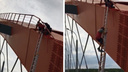 Новосибирец забрался на арку Бугринского моста — снимать его пришлось спасателям