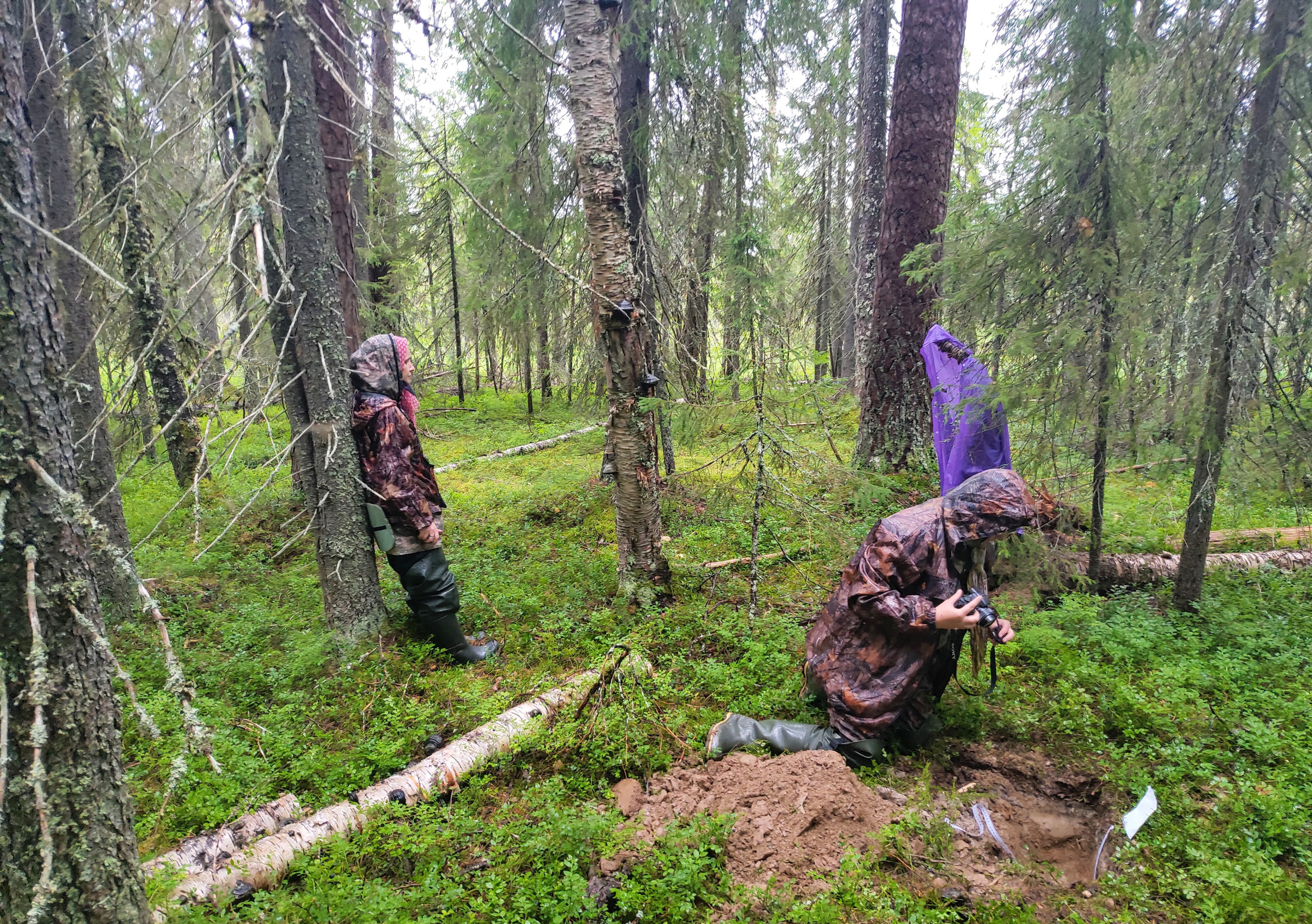 Выставка леса в Архангельской области