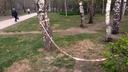 Новосибирские власти запретили посещать парки — показываем, как это восприняли горожане