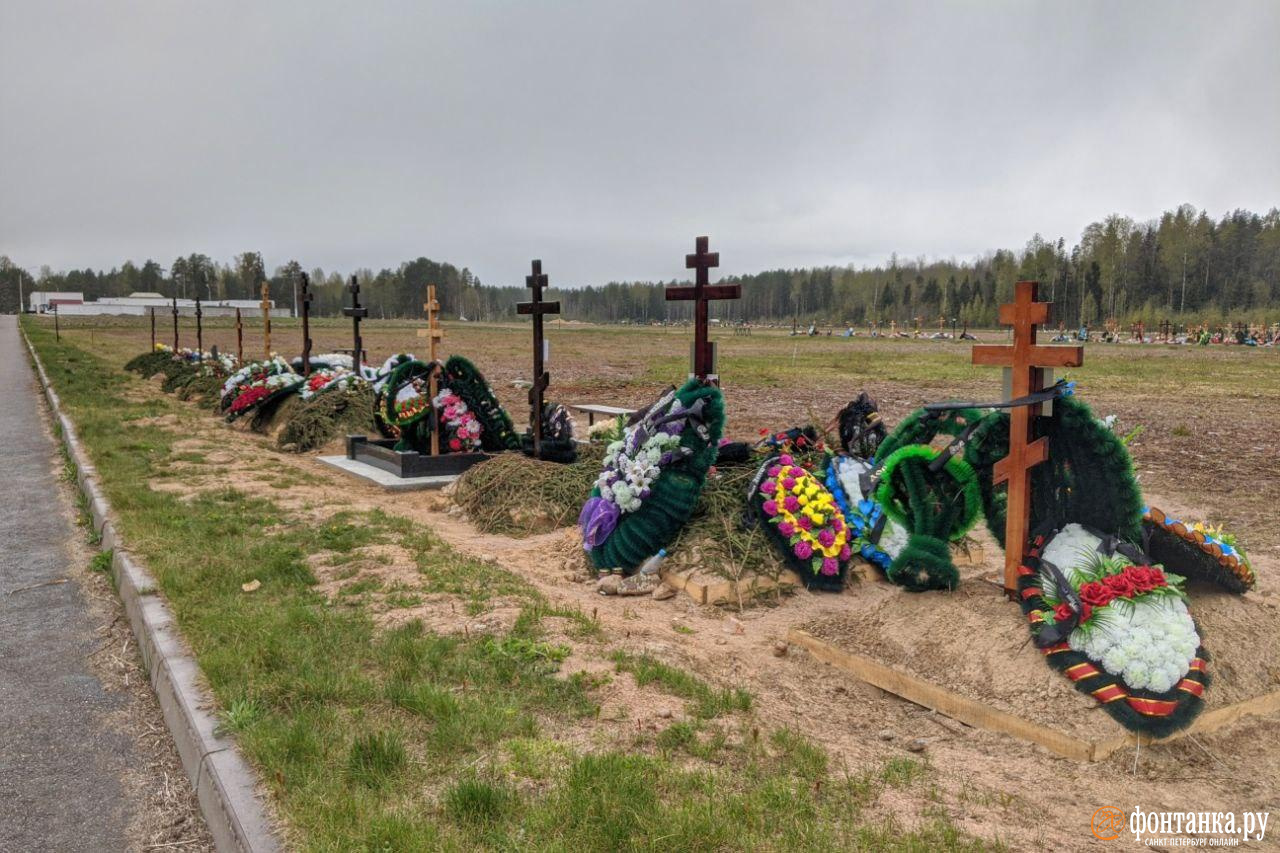 Кладбище «Илики», май 2020 года<br><br>автор фото Павел Каравашкин / «Фонтанка.ру»<br>