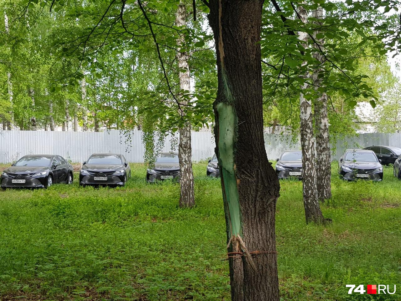 Пригнали машины из Магнитогорска, поставщик — автосалон из родного города бывшего губернатора