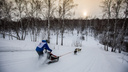 Где сейчас можно покататься на лыжах и сколько это стоит: обзор парков и баз Новосибирска