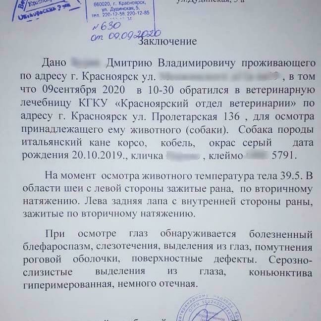 Результат обследования ветеринара Результат обследования ветеринара