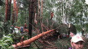 Деревья упали прямо на туристические палатки: смотрим последствия урагана в Нижегородской области