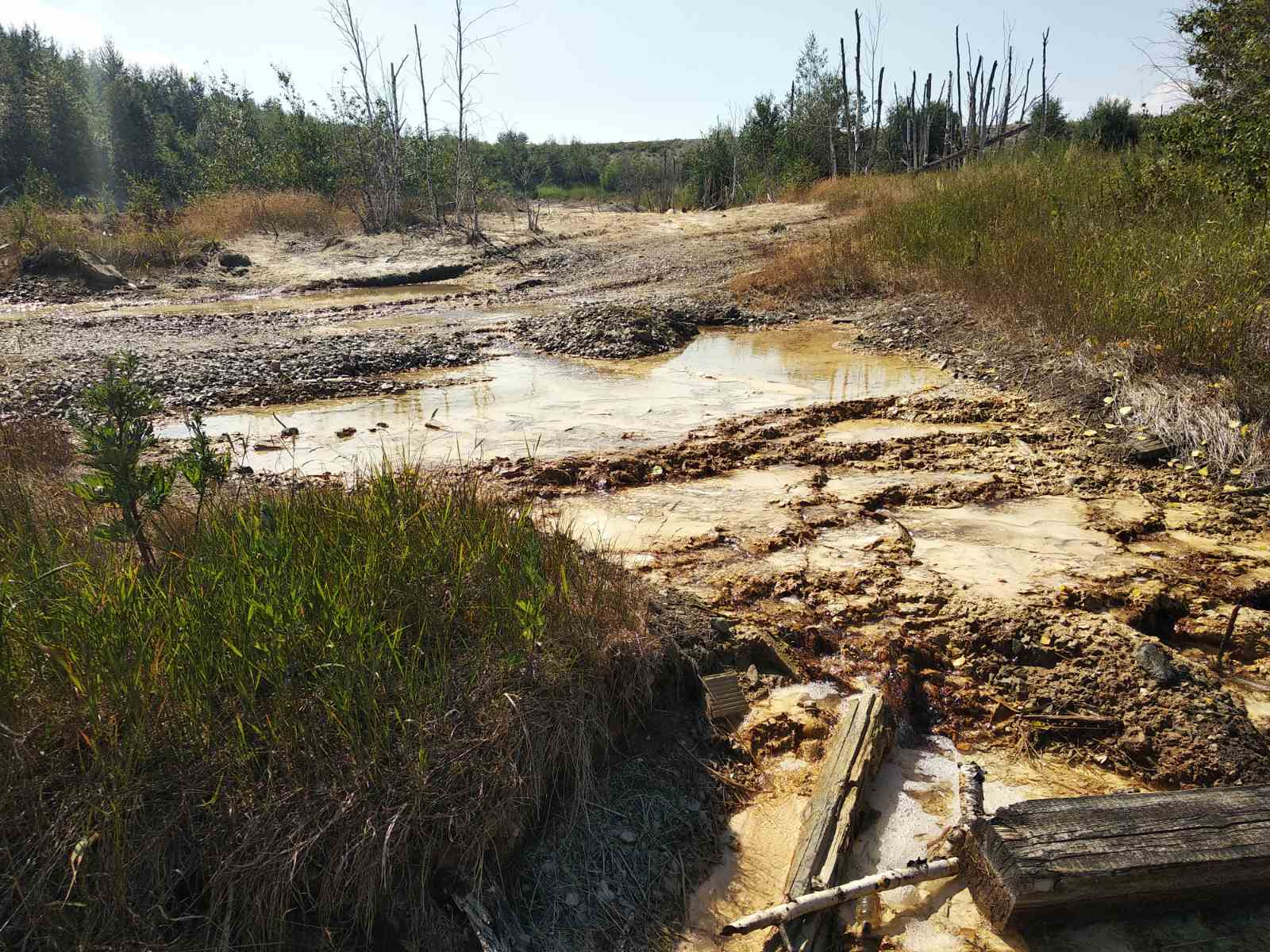 Здесь взяты пробы воды Здесь взяты пробы воды