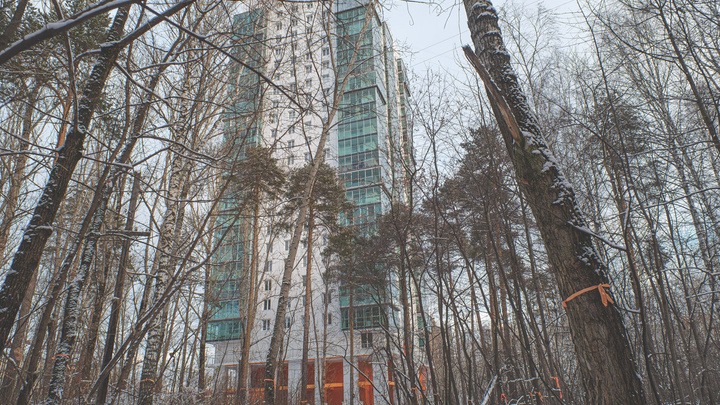 В Перми на публичных слушаниях обсудят строительство общежития РЖД в Черняевском лесу