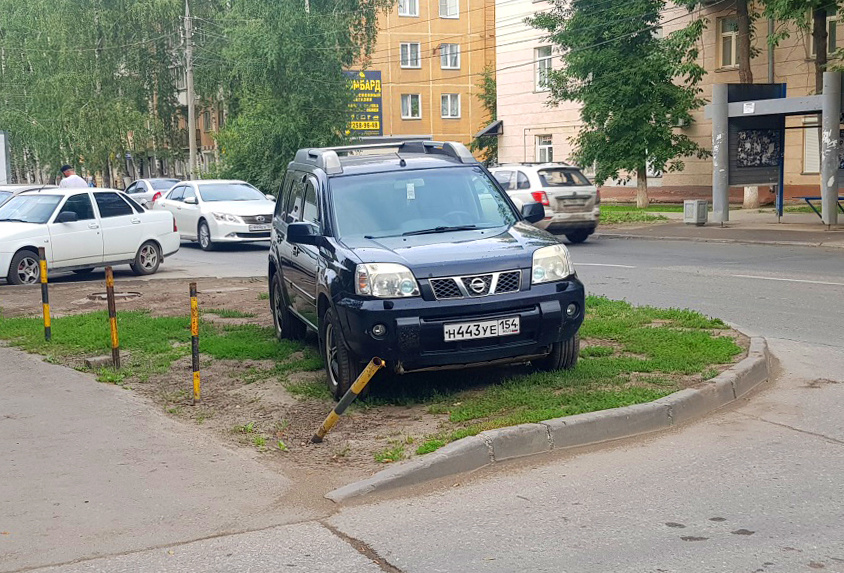 Столбики не спасают траву Столбики не спасают траву