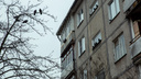В Ярославле с седьмого этажа выпала 21-летняя девушка