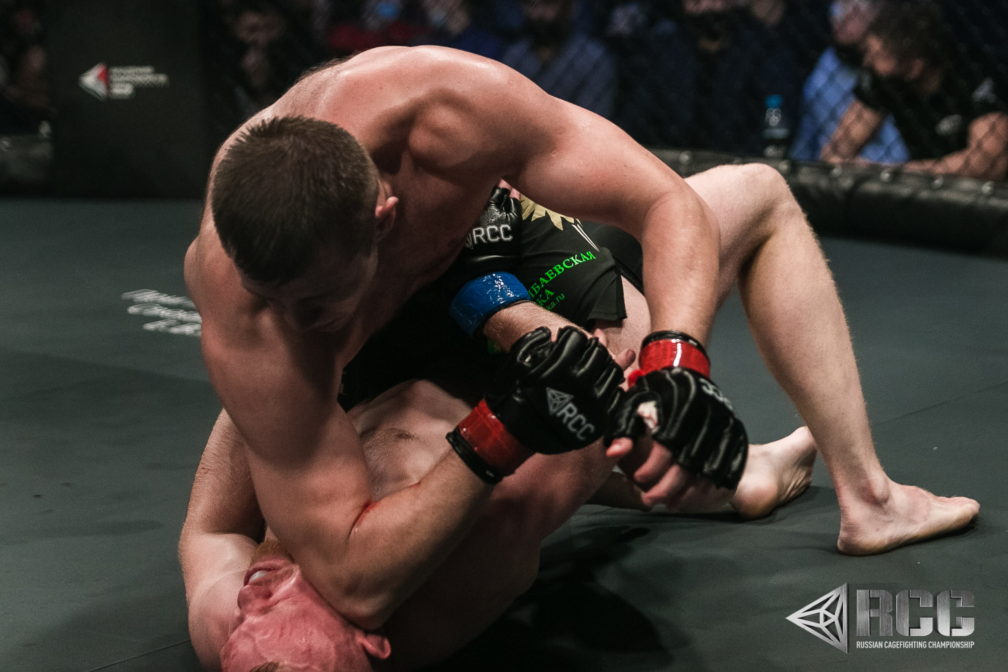 Ufc undisputed 3. Сборы борьбы в крыму. Wrestling cage. Сила традиции борьба. Боримся 3.