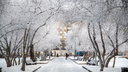 Наступила сказка. 9 волшебных кадров с улиц Новосибирска — посмотрите, как город укутали снег и иней