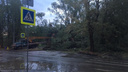 Владельцам пострадавших от урагана машин в Челябинске выплатят компенсацию