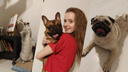 «Отдавали даже на месяц»: как зарабатывать, выгуливая чужих собак, рассказал нижегородский догситтер