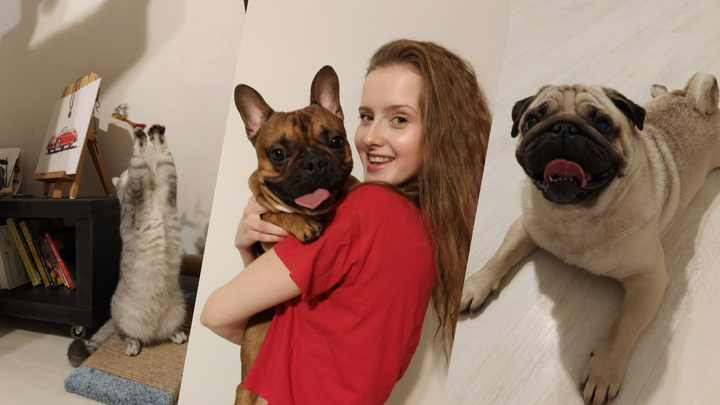 «Отдавали даже на месяц»: как зарабатывать, выгуливая чужих собак, рассказал нижегородский догситтер