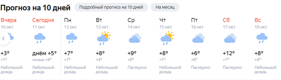 Синоптик балашейка погода. Прогноз погоды в Хакасии. Погода на месяц Ныда рп5. Rp5 Красноярск на неделю погода. Погода в Ныде на неделю точный прогноз.