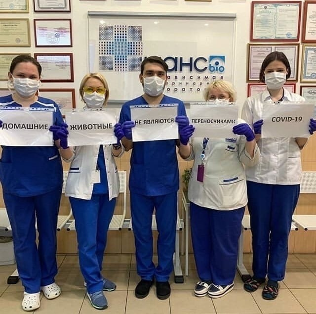 Участники флешмоба решили просветить владельцев домашних животных, чтобы они не поддавались панике Участники флешмоба решили просветить владельцев домашних животных, чтобы они не поддавались панике