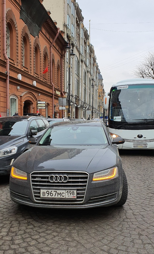 Водитель Audi заставил Большую Конюшенную «ждать всей улицей»