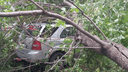 Во время ветра деревья рухнули на припаркованные в челябинском дворе машины