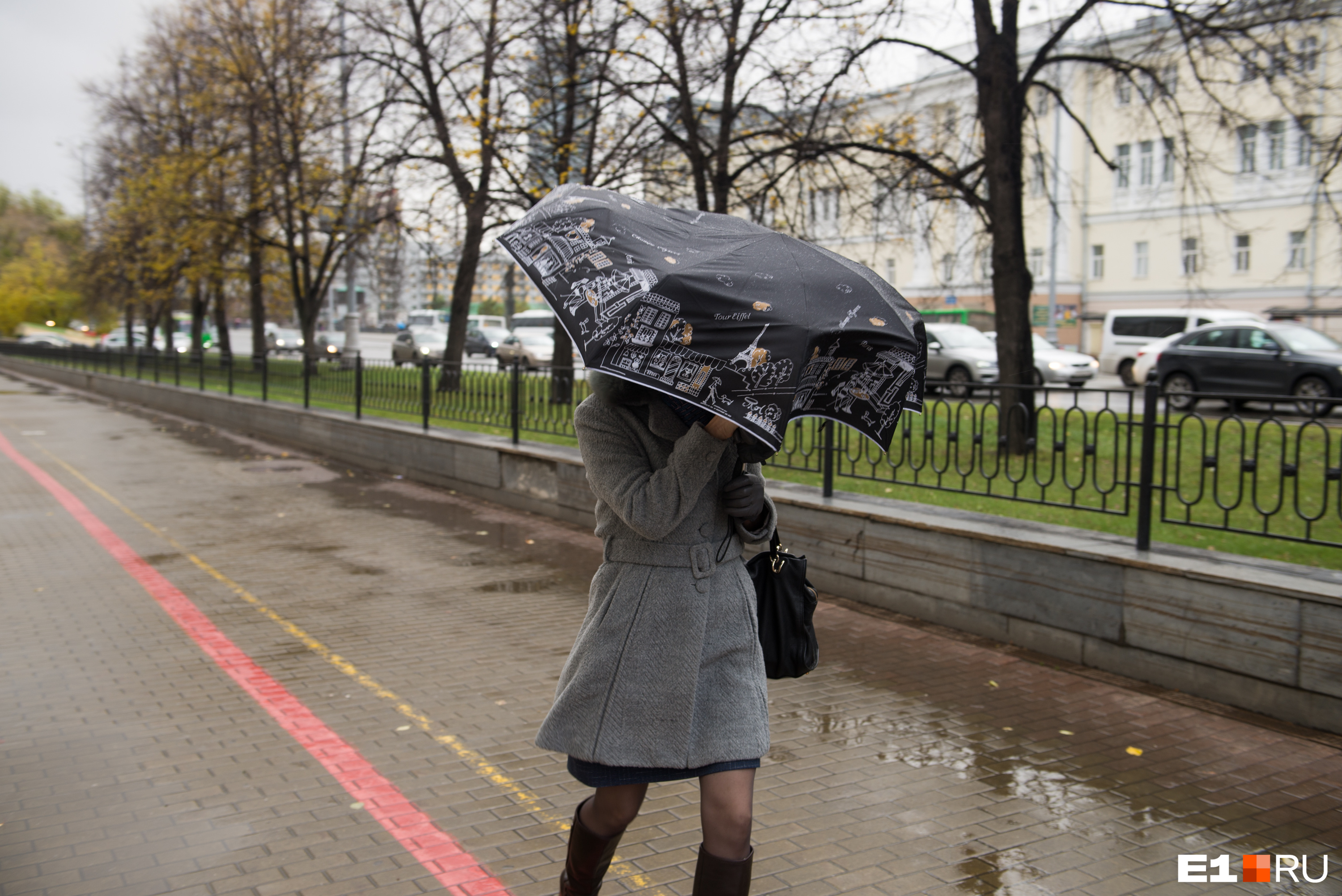 В Екатеринбурге подует штормовой ветер. Предупреждение от МЧС