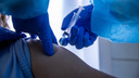 В Новосибирской области начнут ставить антиковидную вакцину от «Вектора»