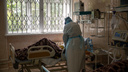 От коронавируса скончались четыре женщины в Новосибирской области — самой молодой 31 год