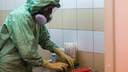 В Новосибирской области начали производить экспресс-тест на коронавирус