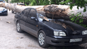 Дерево рухнуло на «Тойоту Камри» в Кировском районе — машине смяло крышу