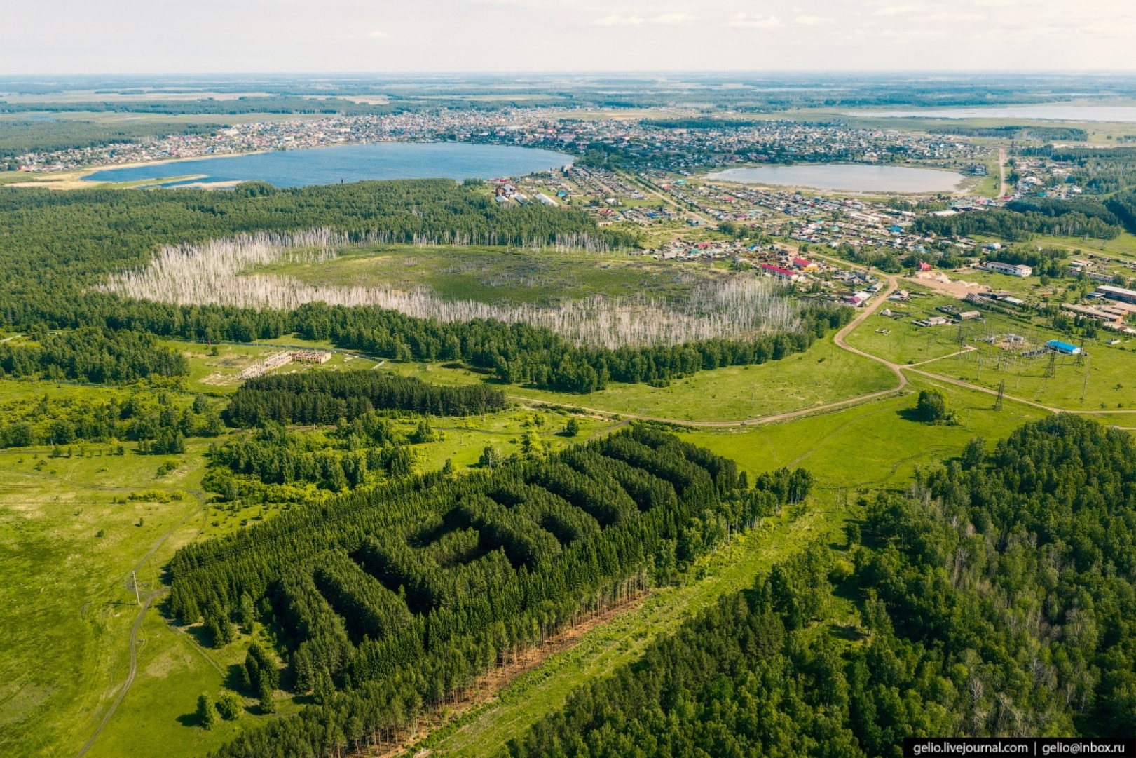 Тюкалинск лес Ленин