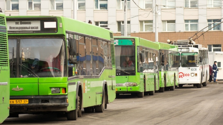 На автобусный маршрут № 91 в Красноярске не нашлось перевозчиков
