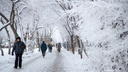 Синоптики рассказали, какая погода будет в Самарской области на Рождество