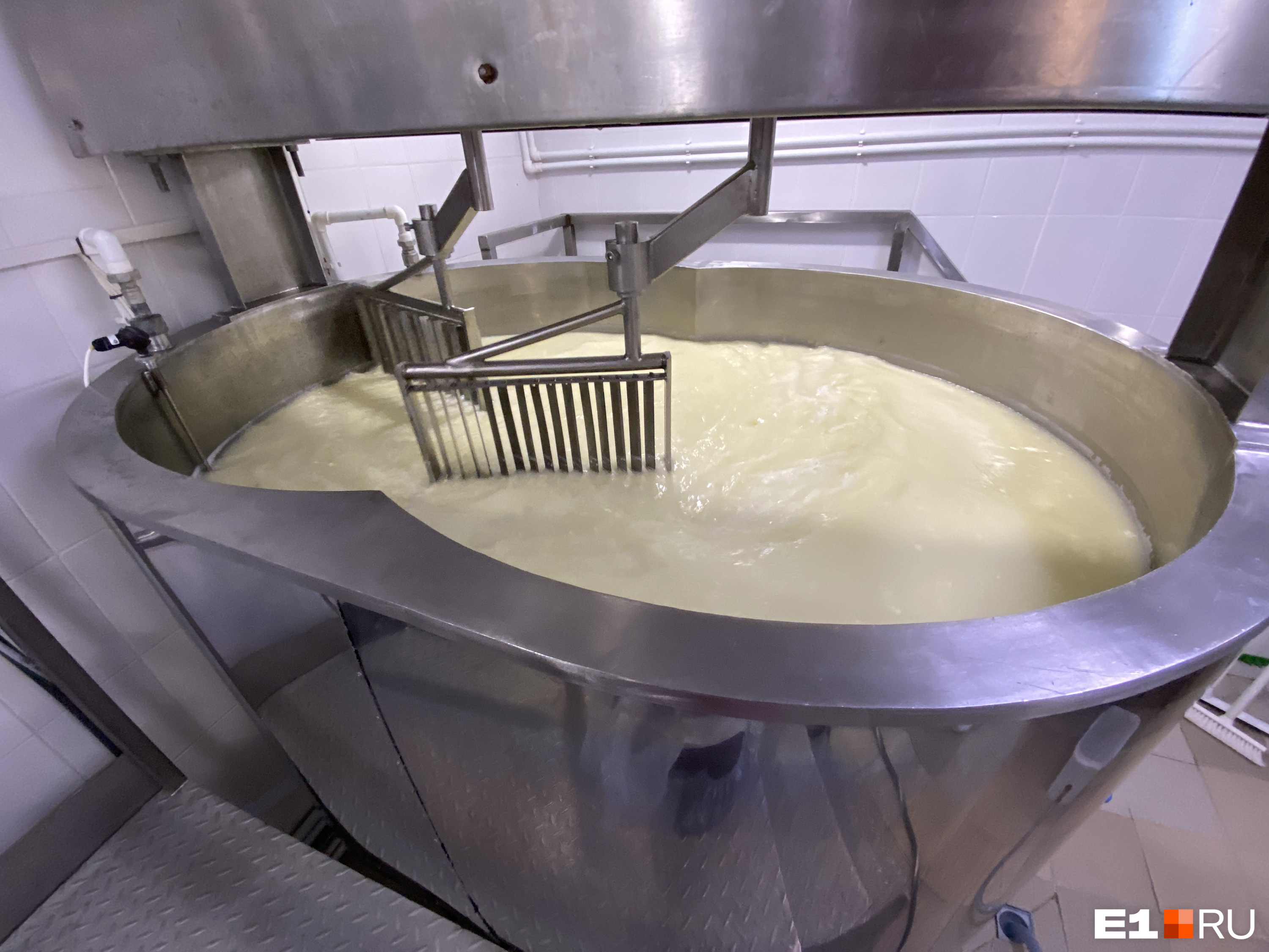 В сыродельной ванне пастеризованное молоко смешивают с закваской. Позже сыворотку отделяют от сырного зерна