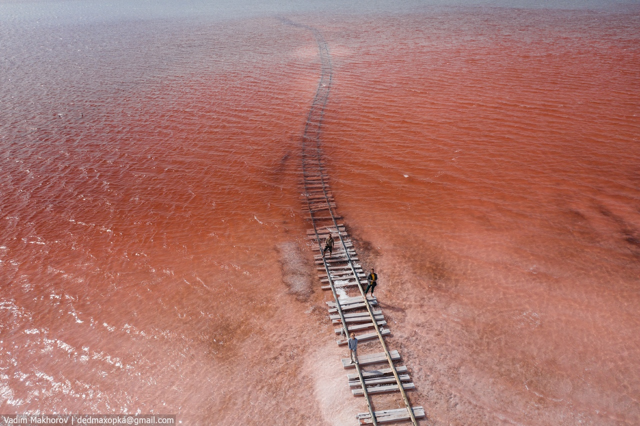 розовое озеро алтайский край яровое