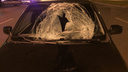 Пробил лобовое стекло: в Самарской области Lada насмерть сбила пешехода