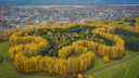 Новосибирский фотограф показал Краснообск с высоты птичьего полёта. Таким красивым его не видели