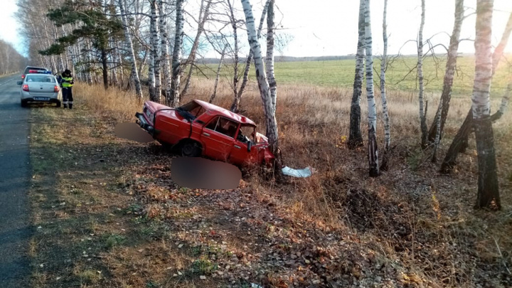 Молодой водитель погубил трех пассажиров, врезавшись в дерево