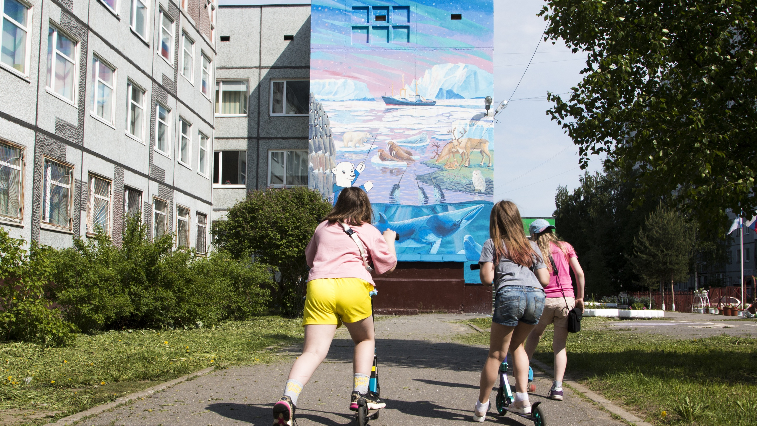 Под палящим солнцем рисовали льды: в Архангельске на стене школы изобразили обитателей Арктики