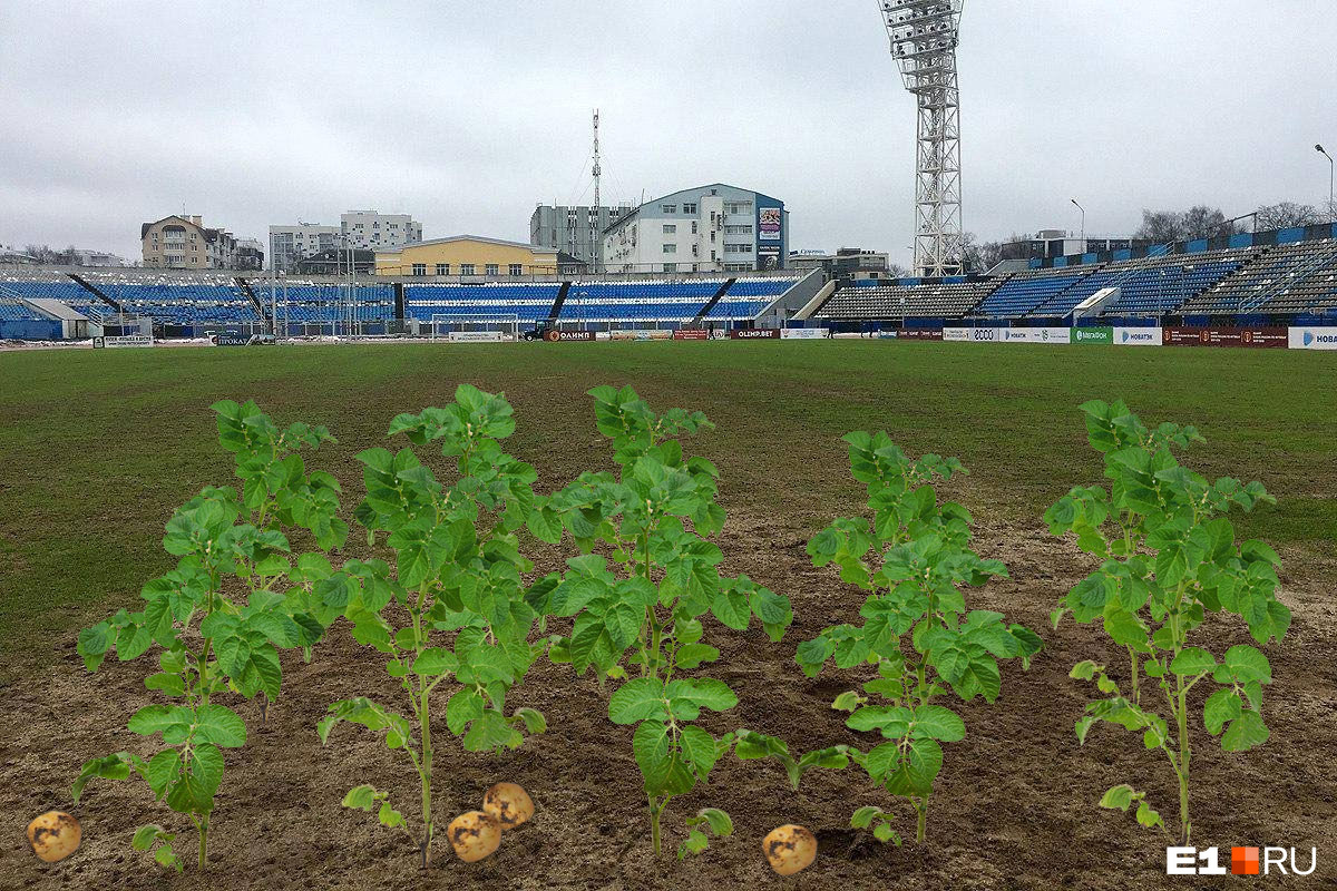 На таком поле лучше выращивать картофель, чем играть в футбол 