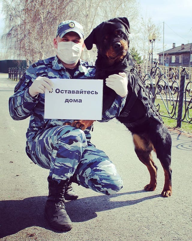 А вы соблюдаете режим самоизоляции? Ответами делитесь в комментариях А вы соблюдаете режим самоизоляции? Ответами делитесь в комментариях