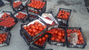 «Я не спекулянт»: корреспондент НГС отправилась за бесплатными помидорами — спасаться пришлось на такси