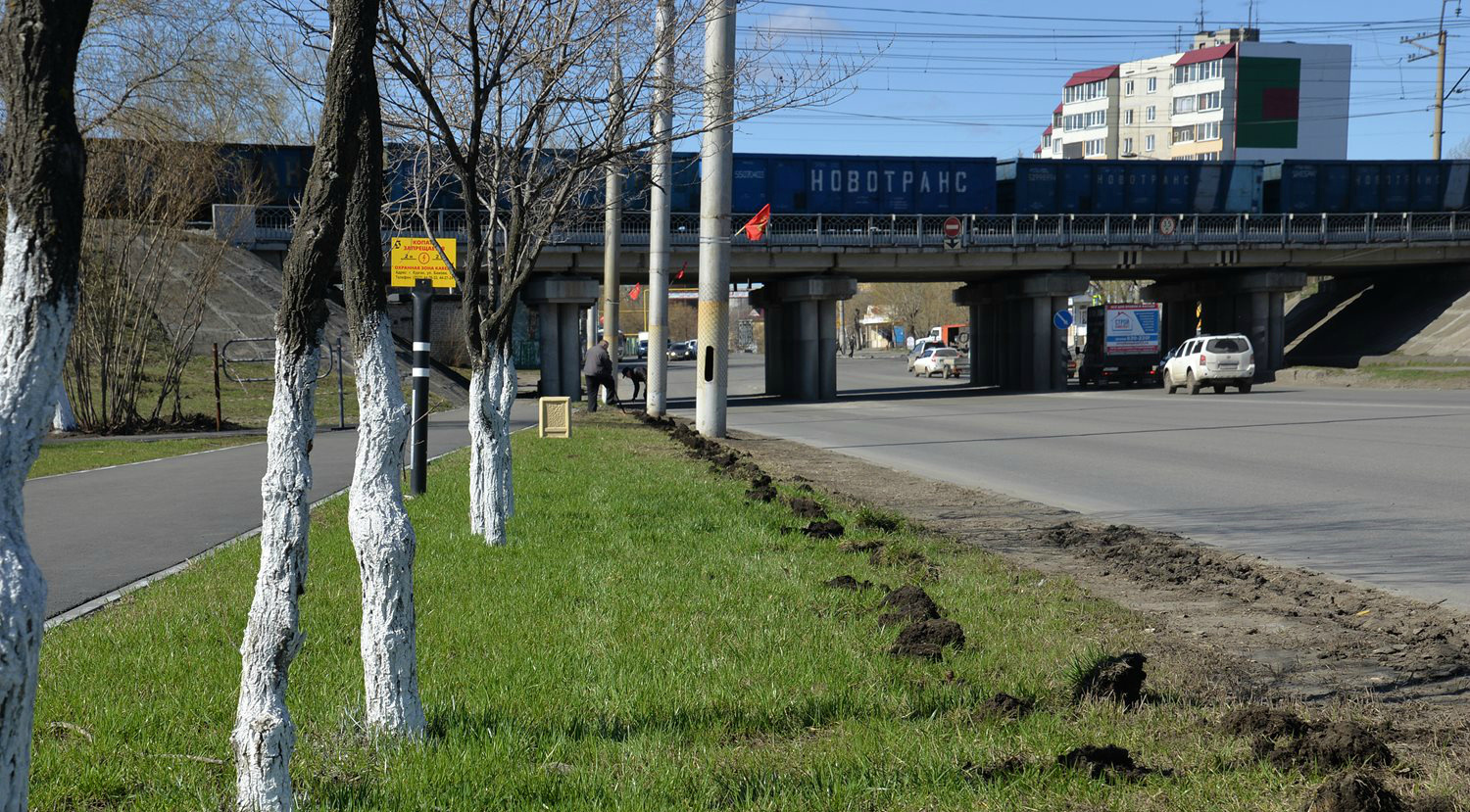 Сквер на улице Гагарина Курган. Сквер на улице Гайдара Курган. Парк на улице Гайдара Курган. Фото сквер на ул Гайдара в Кургане.