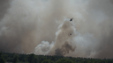 Некуда тикать: как огонь выжигает дома и лес в Тарасовском районе. Репортаж 161.RU