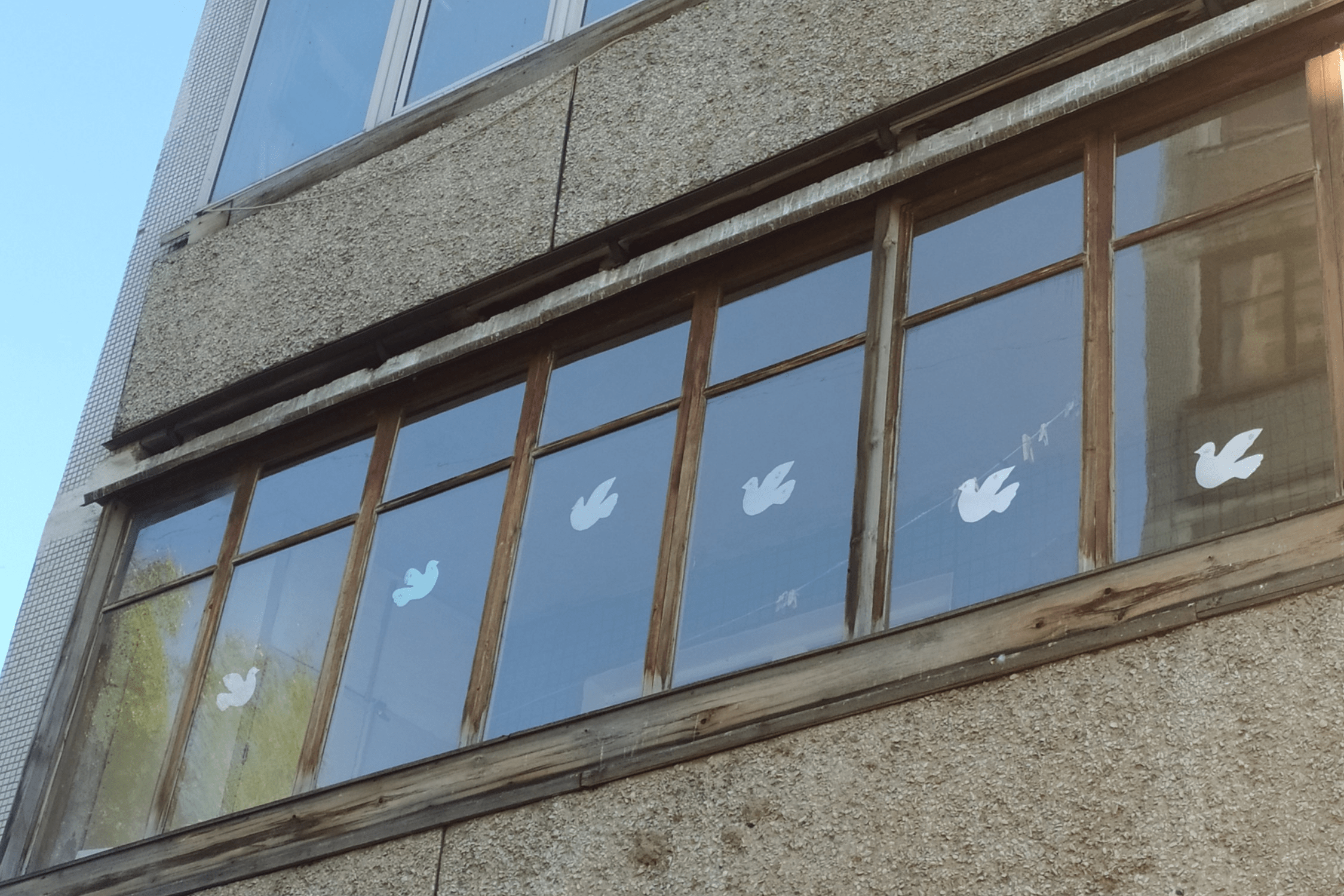 В окнах одного из домов появились бумажные голуби