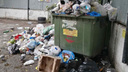 В Минэкологии Челябинской области отреагировали на проблемы с вывозом мусора
