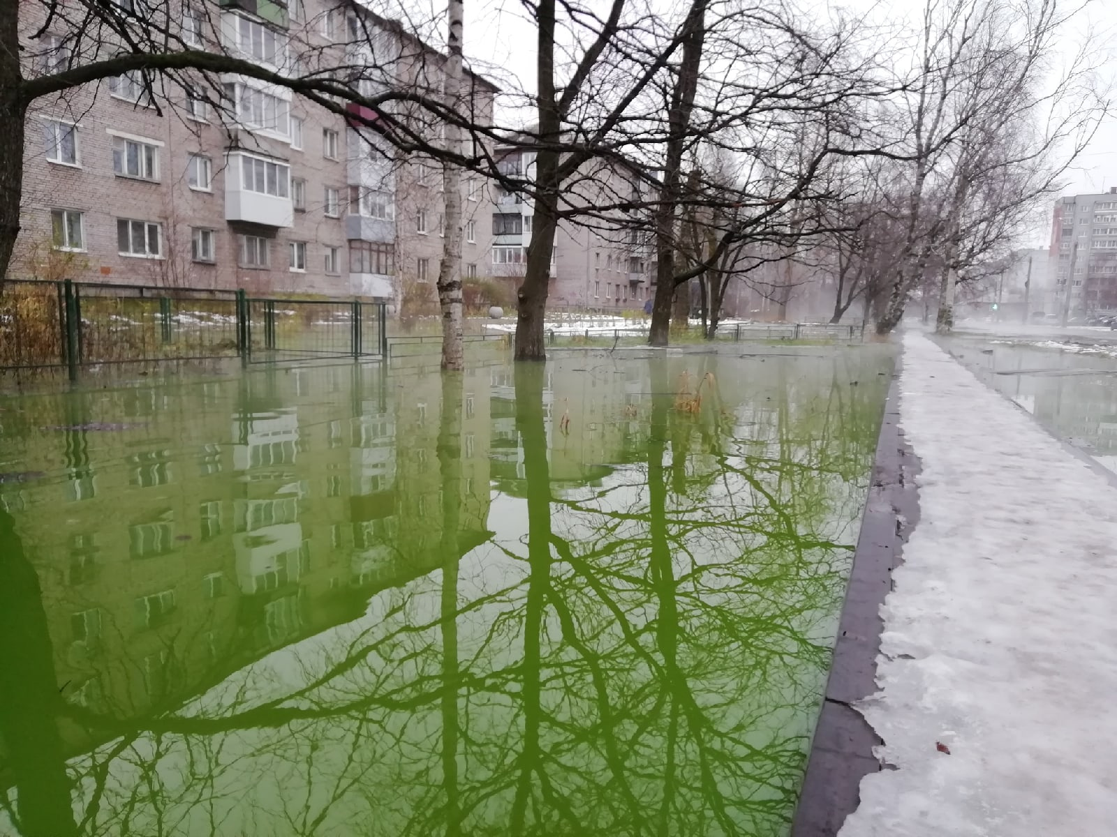 Вот такое фото нам прислала жительница Соломбалы Анна Резвая Вот такое фото нам прислала жительница Соломбалы Анна Резвая
