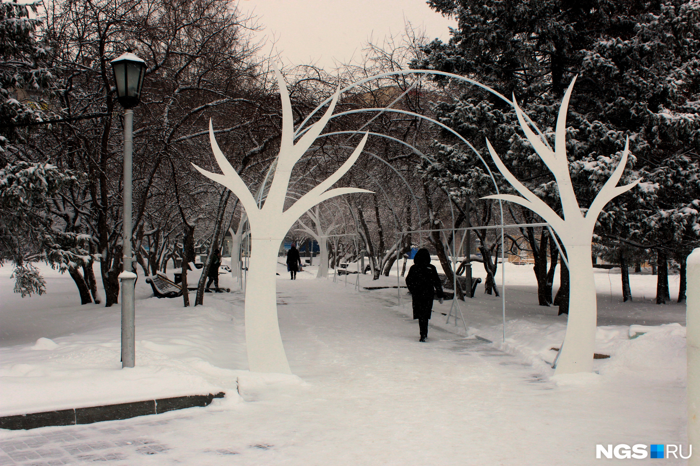Сейчас парк зимой в Новосибирске
