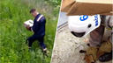 В яму у аграрного университета упал лисёнок: на помощь ему приехали спасатели