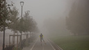 «Могут быть негативные реакции»: в Новосибирске ухудшилось качество воздуха