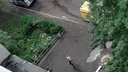 В Ярославле из окна на седьмом этаже выпал ребёнок