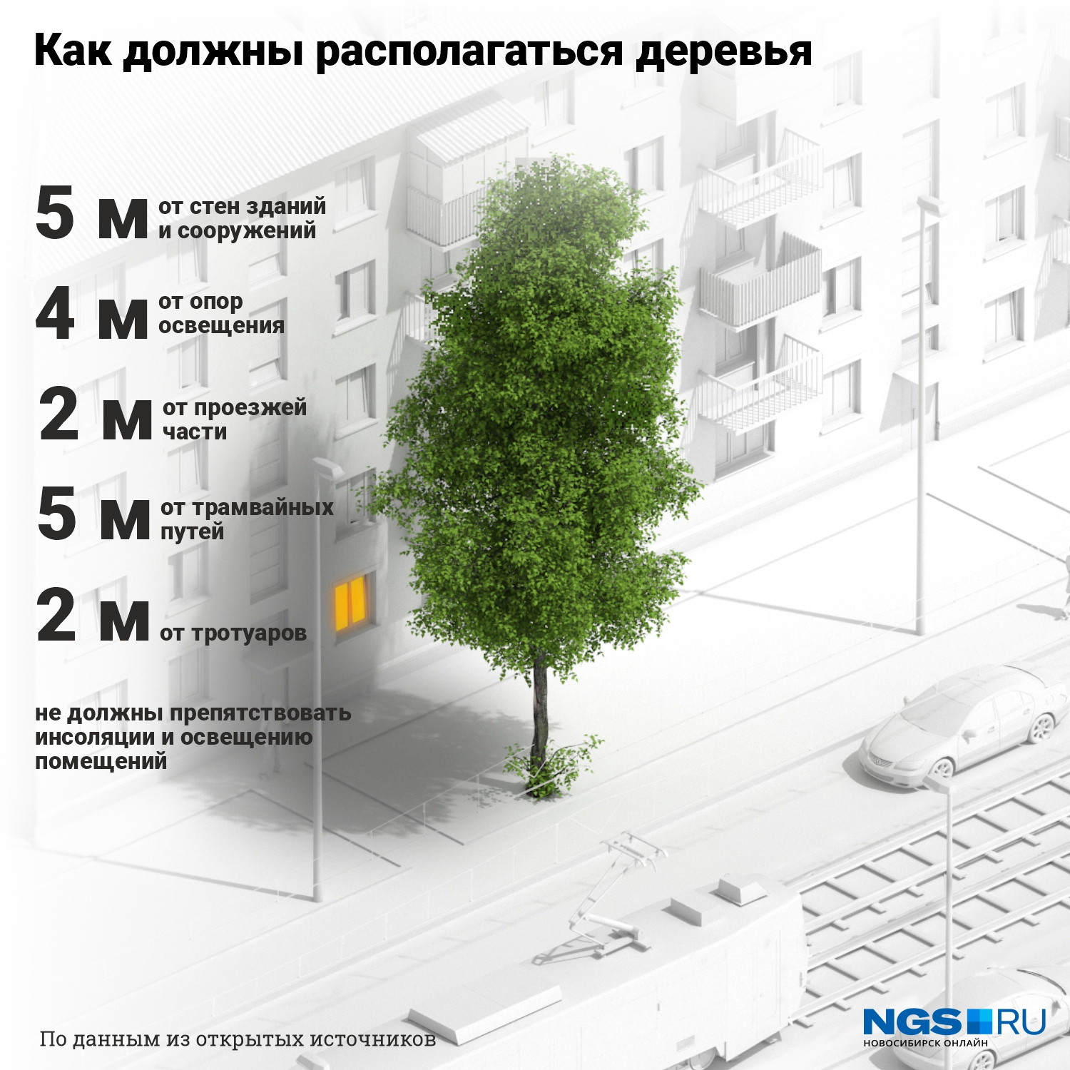 А вот как должны располагаться деревья на придомовой территории.