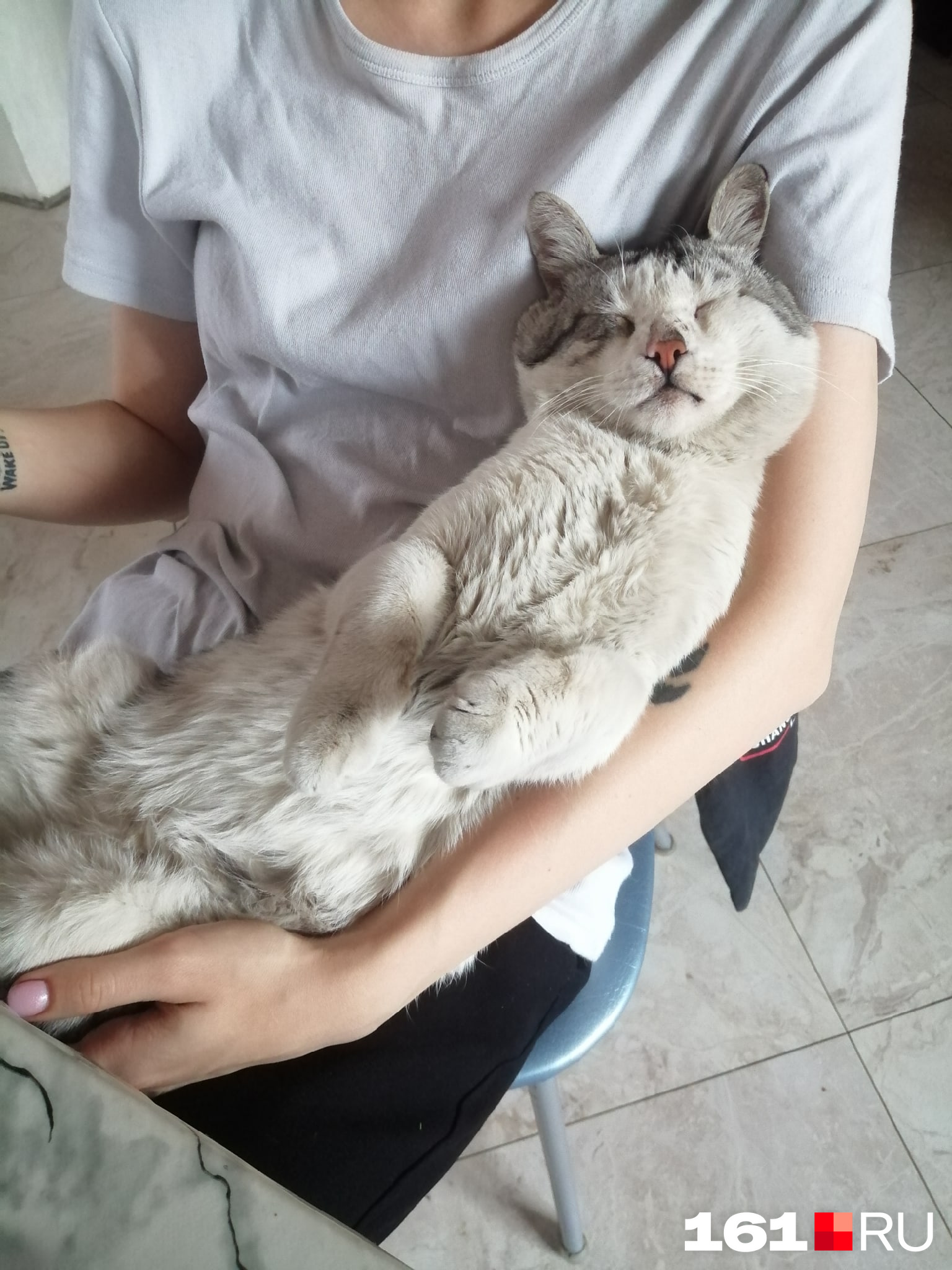 На руках у любимых хозяев очень удобно На руках у любимых хозяев очень удобно